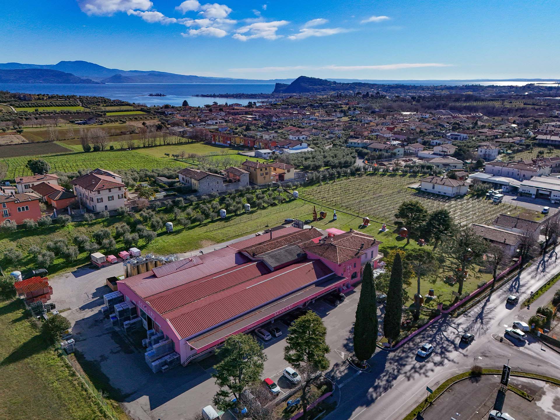 Cantine Scolari