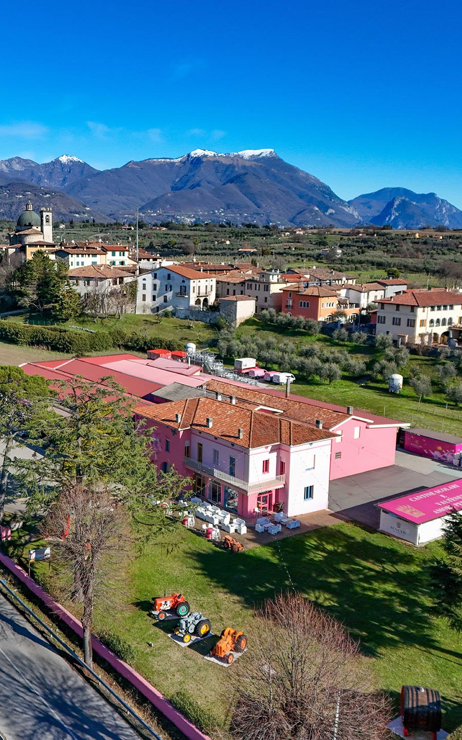 Cantine Scolari