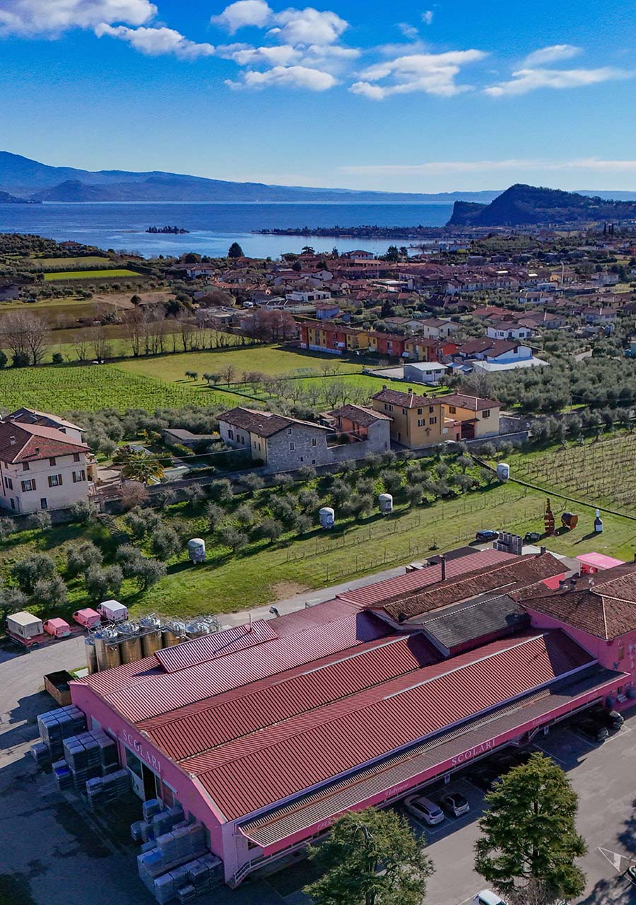 Cantine Scolari